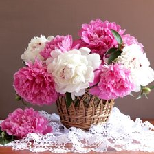 Схема вышивки «пионы»