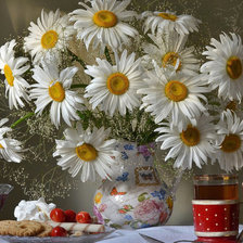 Схема вышивки «Ромашки»