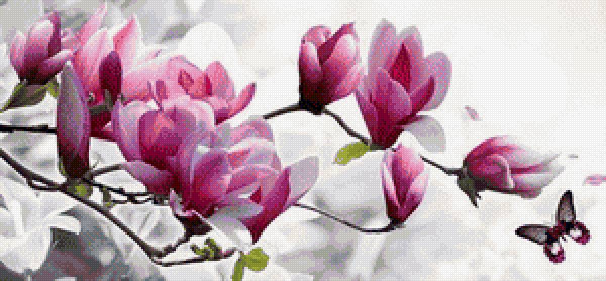 магнолия - цветок, магнолия, ветка - предпросмотр