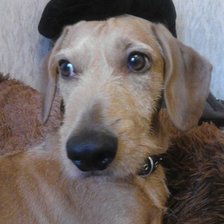 Схема вышивки «Джерри»