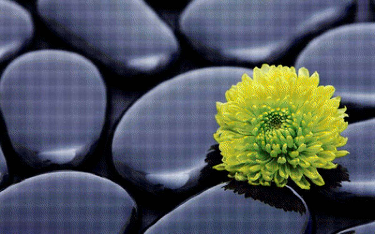 Камни - предпросмотр