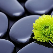 Схема вышивки «Камни»