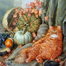 Схема вышивки «Кот»