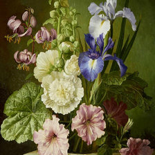 Схема вышивки «kvet»