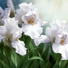 Схема вышивки «Белые ирисы»