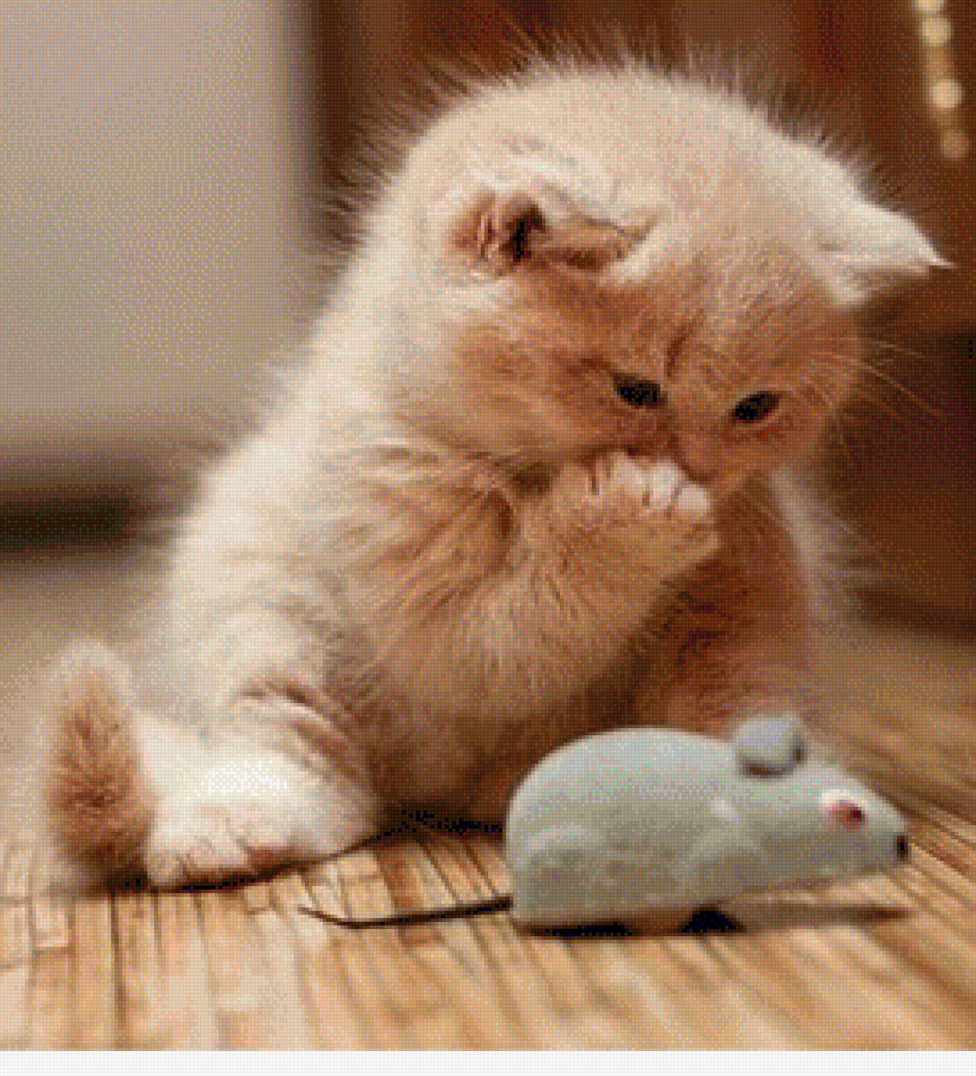 КОШКА - животные, природа, кошка - предпросмотр