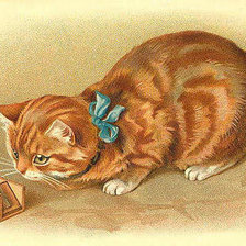 Схема вышивки «Кот»