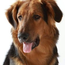 Схема вышивки «Reyes»