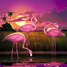 фламинго