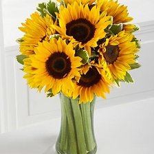 подсолнухи в вазе