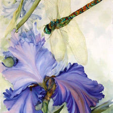 Схема вышивки «Стрекоза»