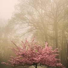 Схема вышивки «ВЕСНА»