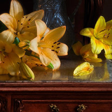 Схема вышивки «Лилии»