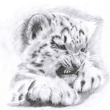 Схема вышивки «тигруля»