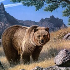 Схема вышивки «Медведь»