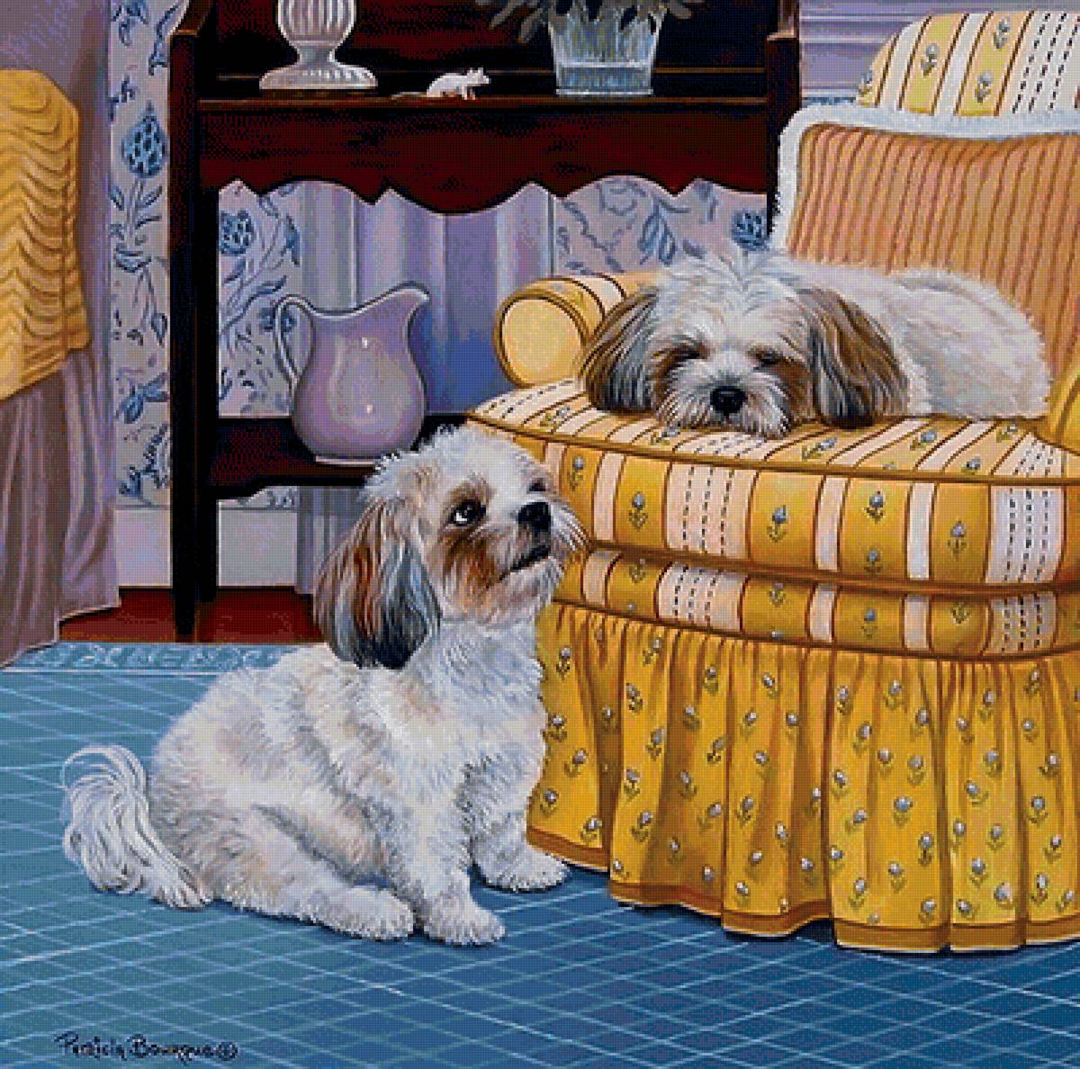 Собаки - животные - предпросмотр