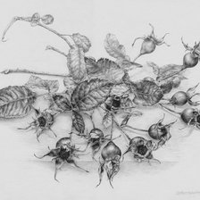 Схема вышивки «черно-белый»