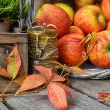 Схема вышивки «№1587910»