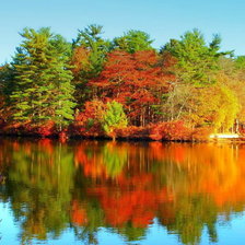 Схема вышивки «№ 142»