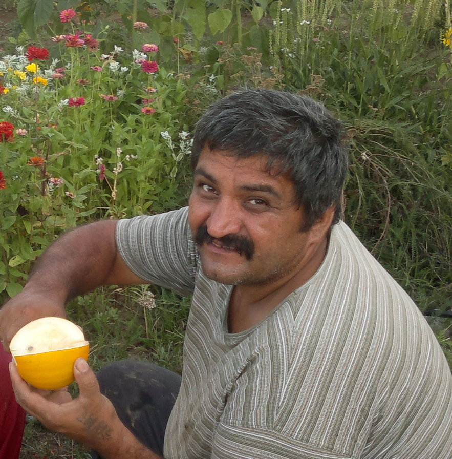 любимый - оригинал