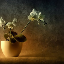 Схема вышивки «цветок»