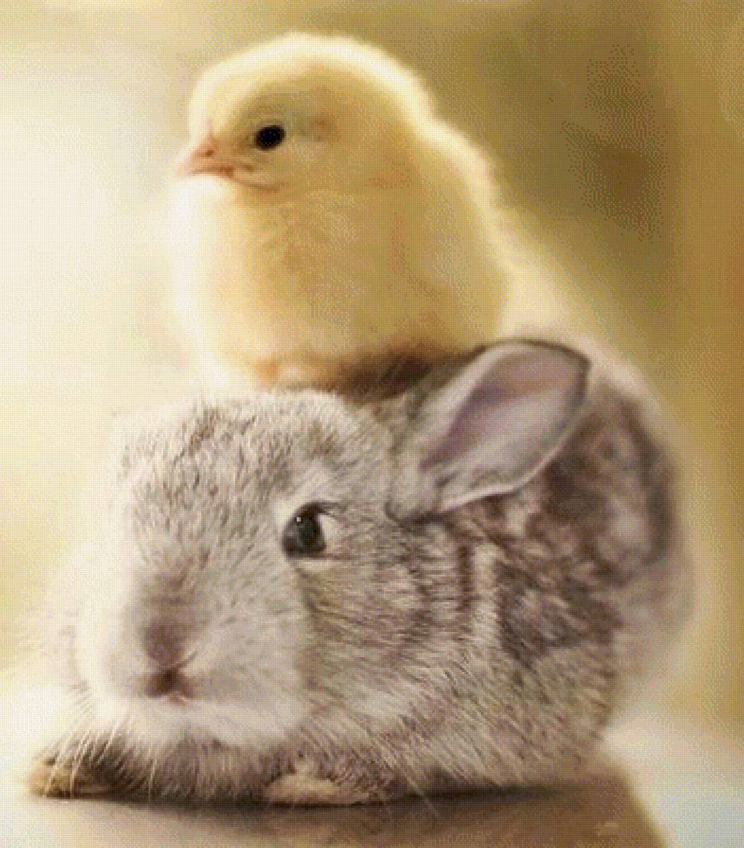 ДРУЗЬЯ - друзья, природа, животные - предпросмотр