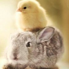 Схема вышивки «ДРУЗЬЯ»