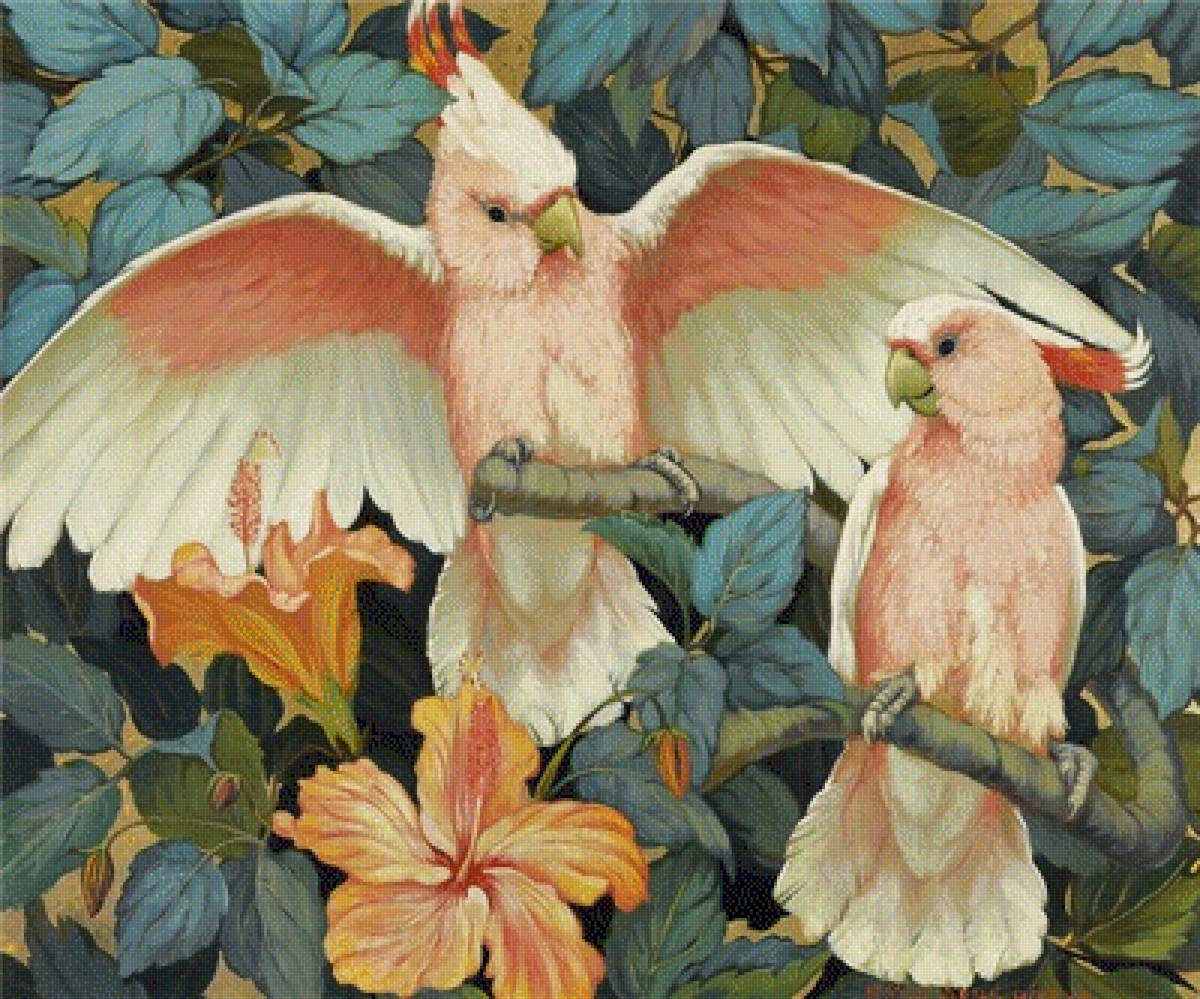 Pticy - предпросмотр