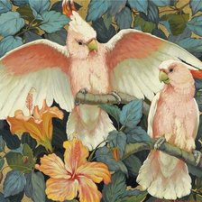 Схема вышивки «Pticy»