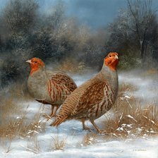 Схема вышивки «Pticy»