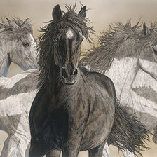 Схема вышивки «Кони»