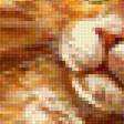 Предпросмотр схемы вышивки «mačka,huby» (№1589636)