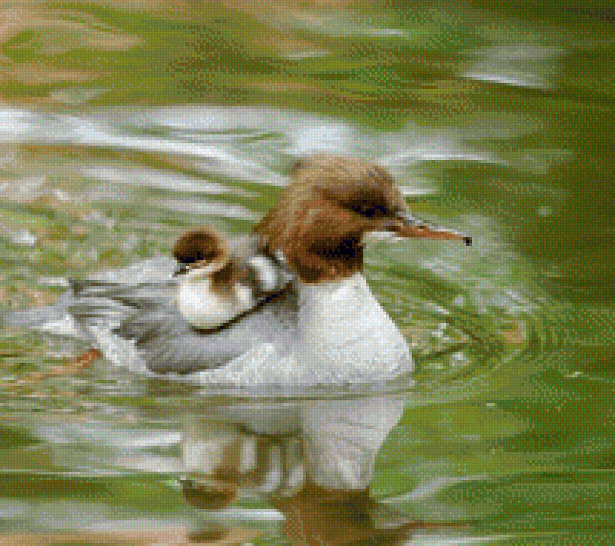 Patos - caça - предпросмотр