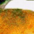 Предпросмотр схемы вышивки «мандарины» (№1589867)