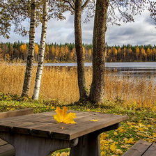 Схема вышивки «№1590147»