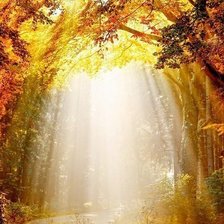 Схема вышивки «jesienny świt»