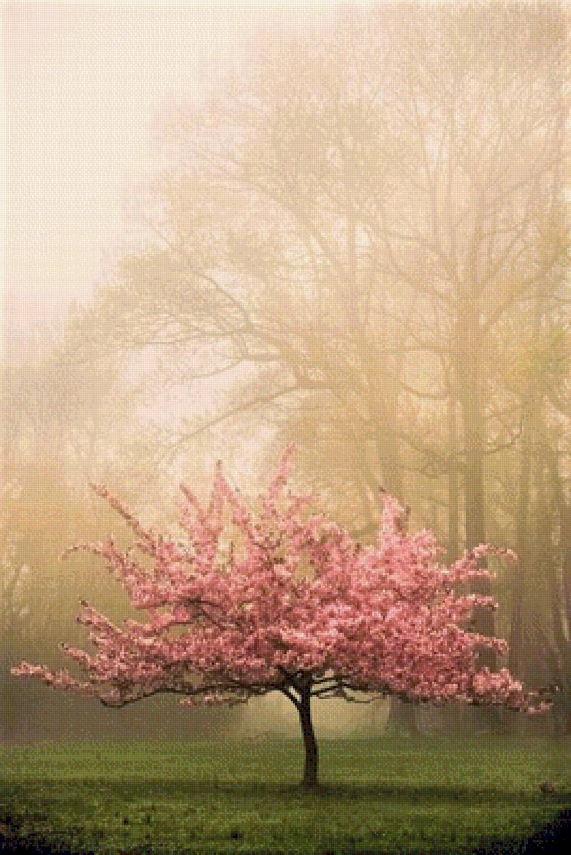 ВЕСНА - пейзаж, весна - предпросмотр