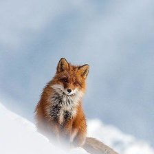 Схема вышивки «Лиса зимой»