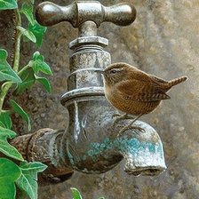 Схема вышивки «жажда»