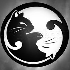 Схема вышивки «Инь Янь»