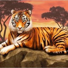 Схема вышивки «Тигр»