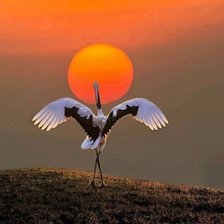 Схема вышивки «№1591167»