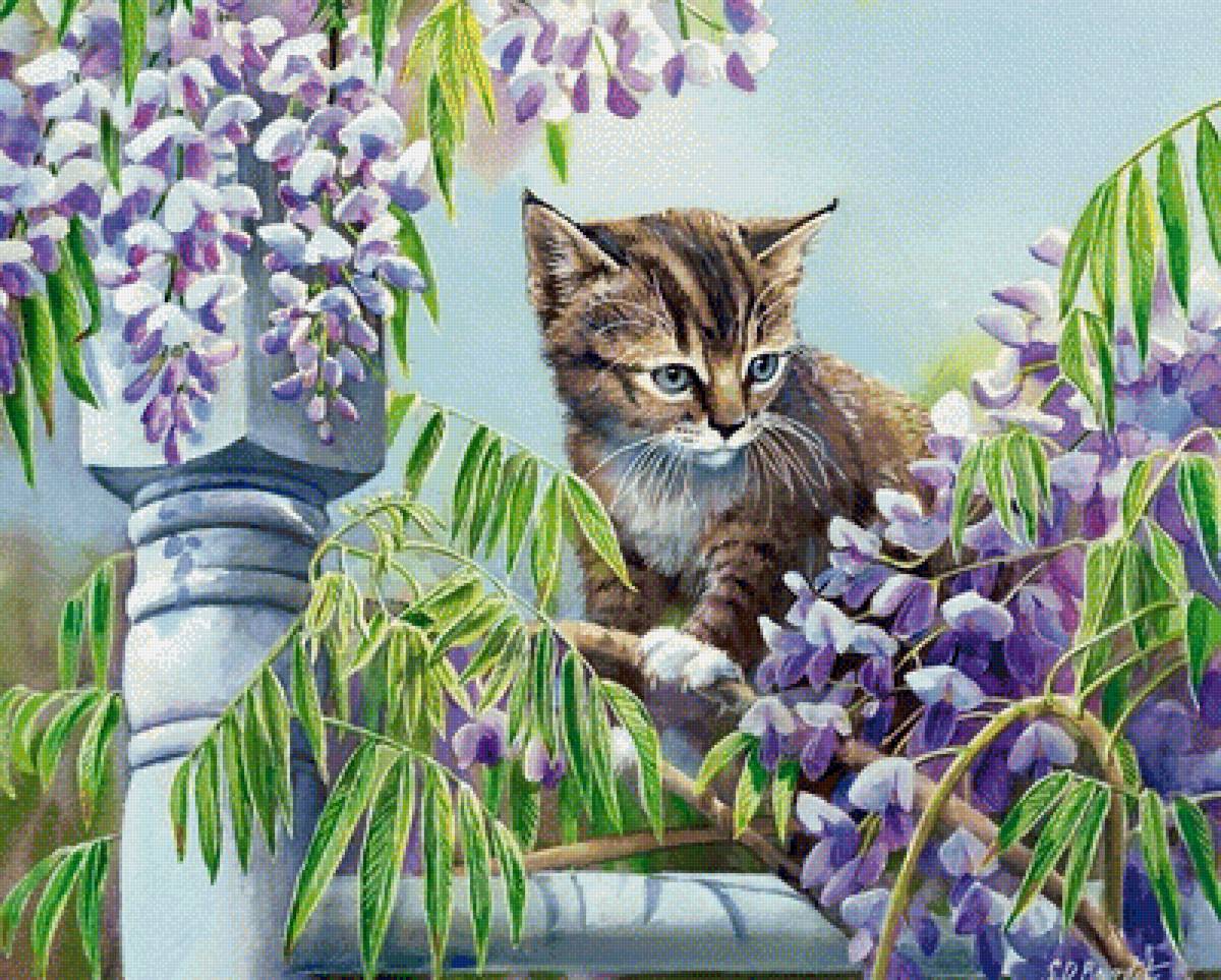 kvety,mačička - предпросмотр