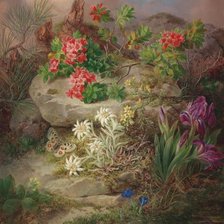 Схема вышивки «№1592055»