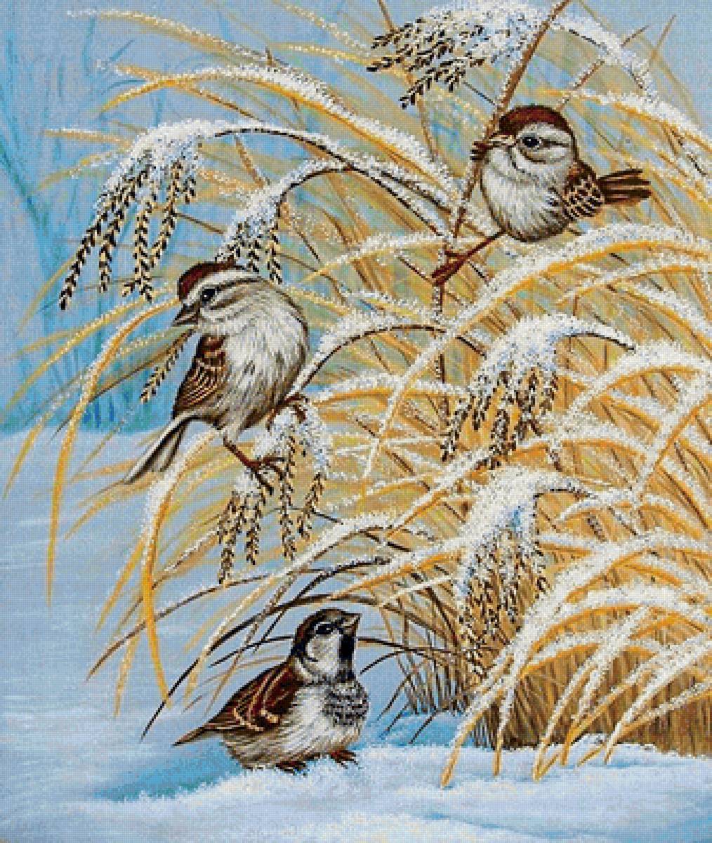 птички-невелички - снег, птицы, зима, воробьи, птица - предпросмотр