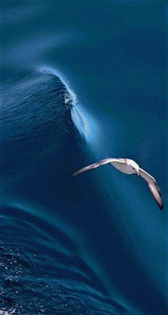 ВОЛНА - волна, природа, вода, море - предпросмотр