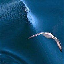 Схема вышивки «ВОЛНА»