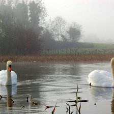 Схема вышивки «№1592361»