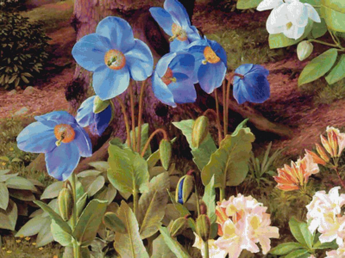 №1592433 - предпросмотр