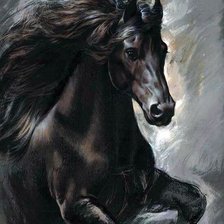 Схема вышивки «Черный красавец»